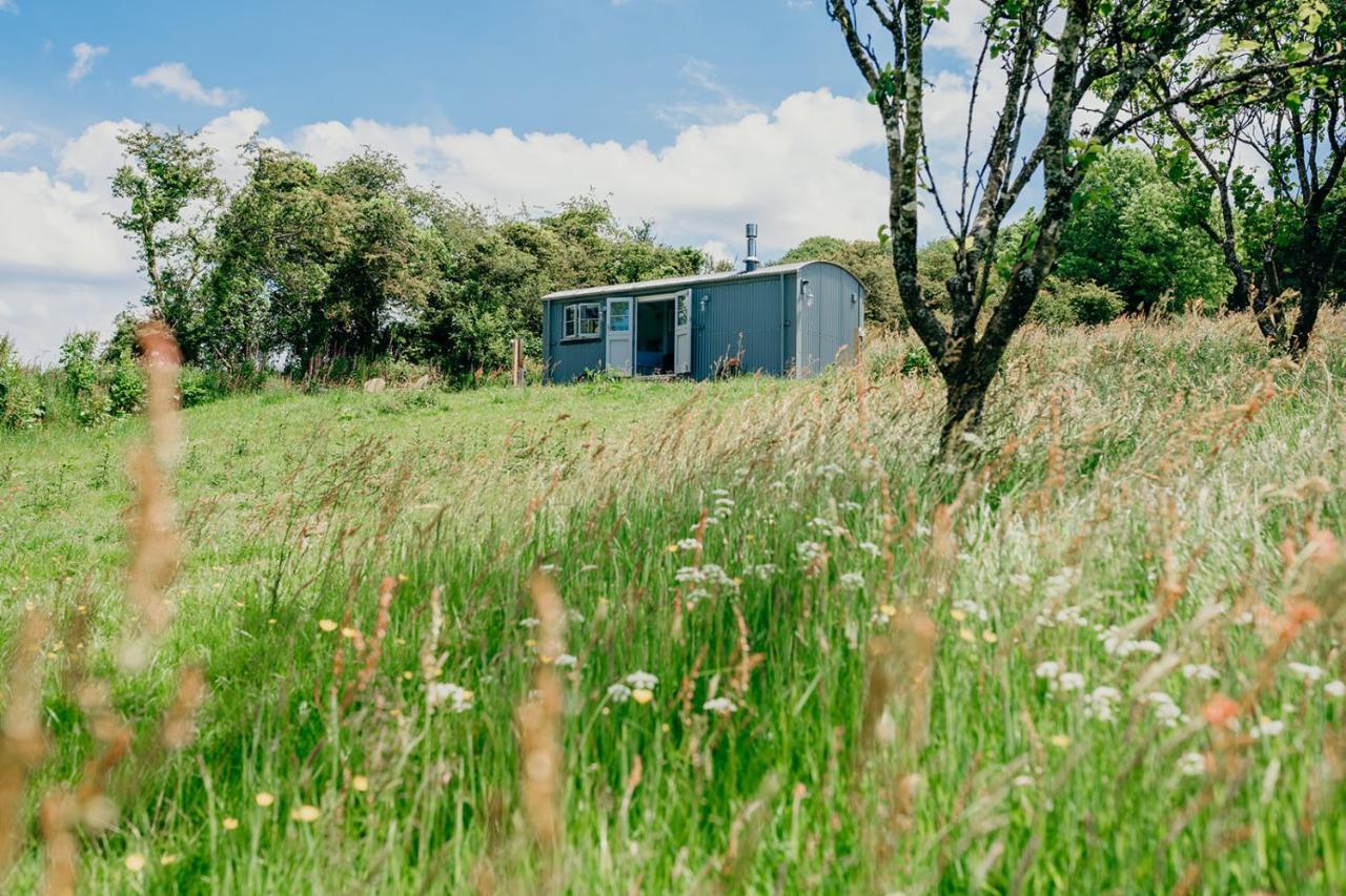 Blatchford Briar - Award Winning Private Shephards Huts With Their Own Secluded Hot Tubs Milton Abbot Kültér fotó