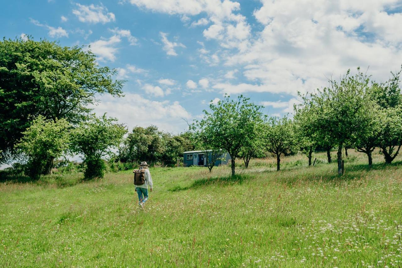 Blatchford Briar - Award Winning Private Shephards Huts With Their Own Secluded Hot Tubs Milton Abbot Kültér fotó