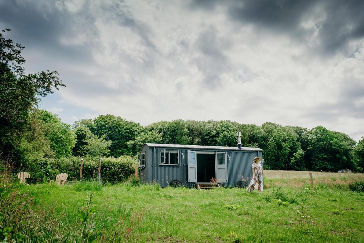 Blatchford Briar - Award Winning Private Shephards Huts With Their Own Secluded Hot Tubs Milton Abbot Kültér fotó